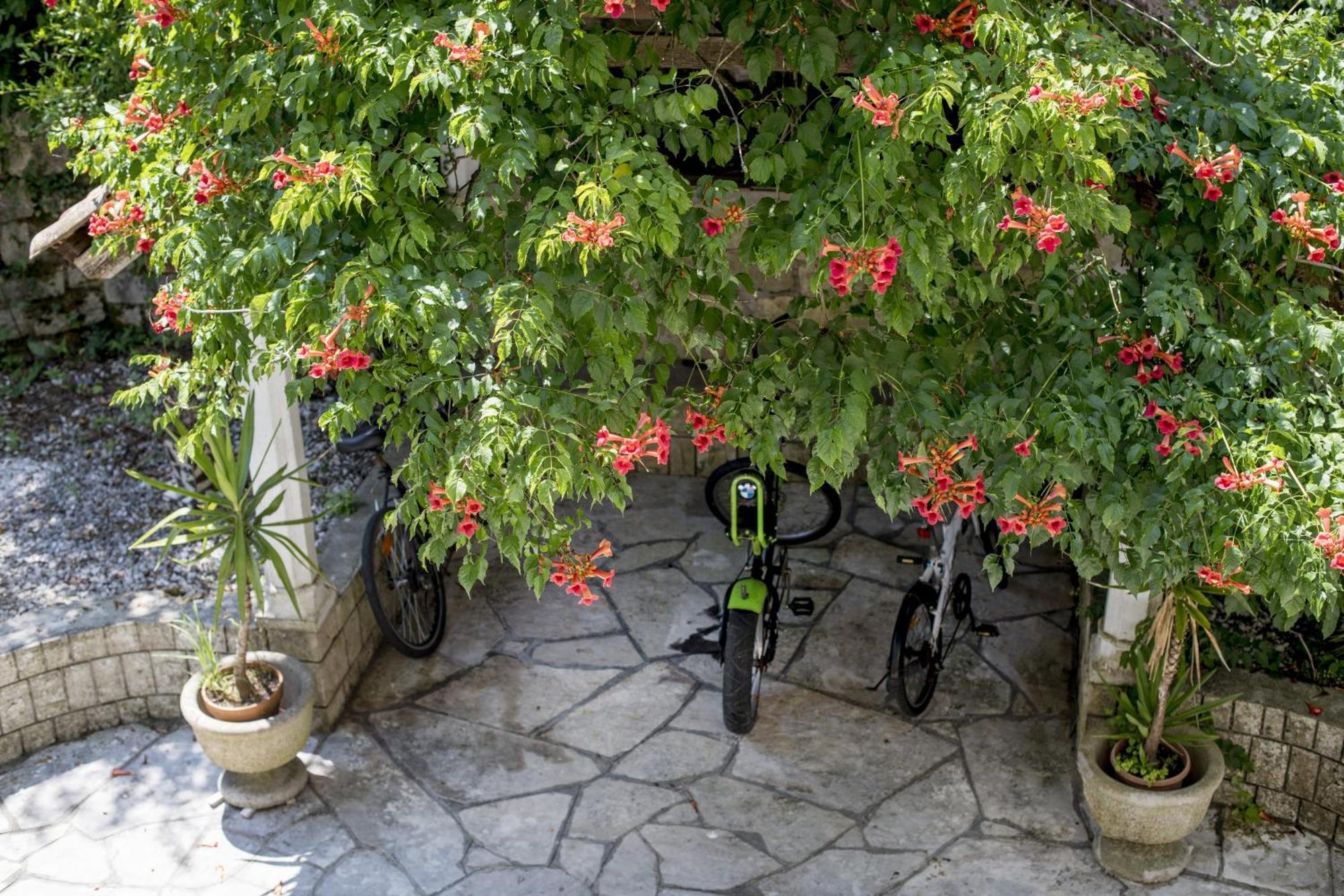 Villa D'Amore Montenegro Долни Морин Екстериор снимка